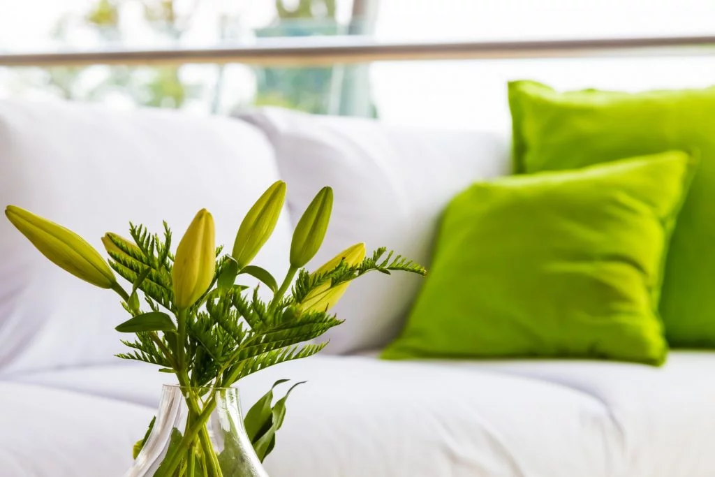Green Cleaning Tips for Apartments and Condos in Toronto