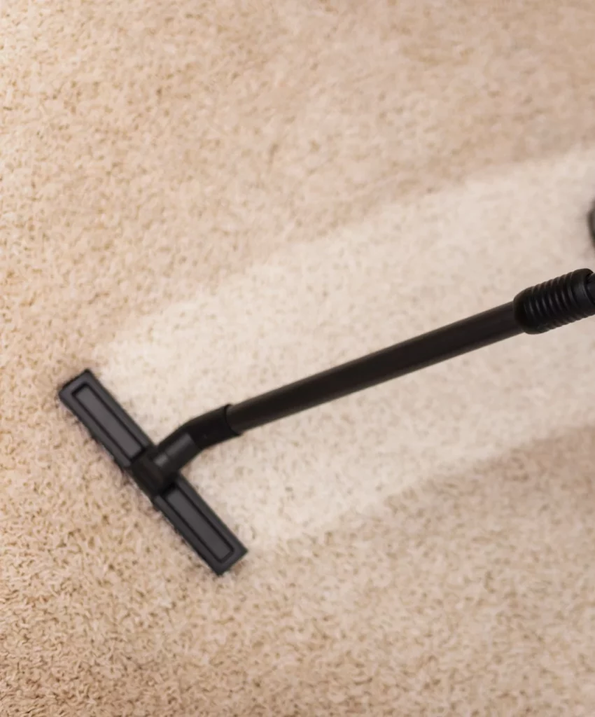 Move-In and Move-Out Carpet Cleaning: Why It’s Essential