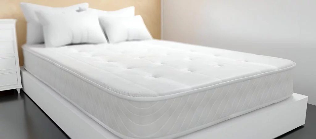 House Cleaning Services: Why Regular Professional Cleaning Matters