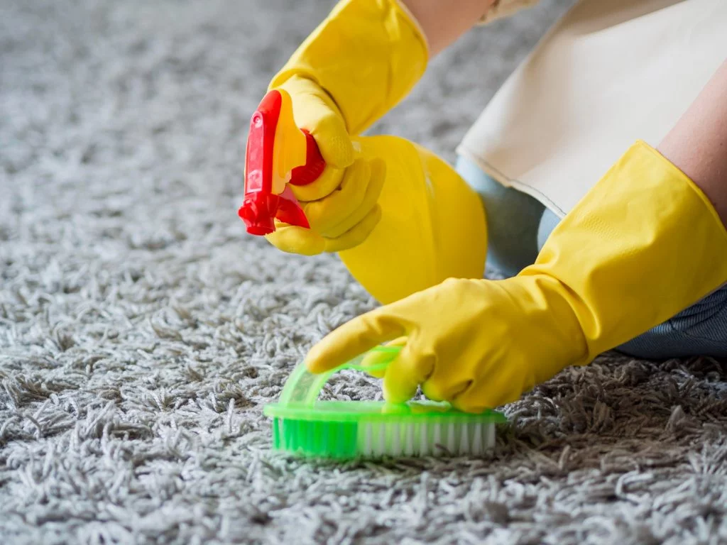 Eco-Friendly Carpet Cleaning Solutions for a Healthier Home