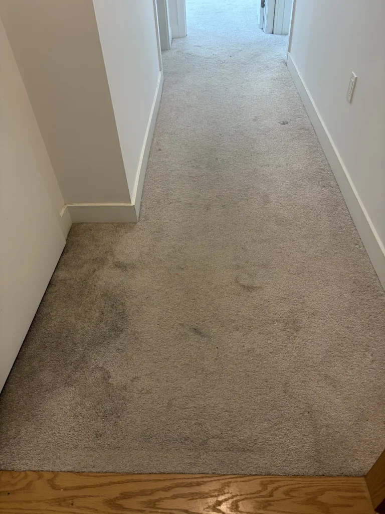 Before cleaning